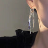 Metallic Silver Long Tassel Earrings
