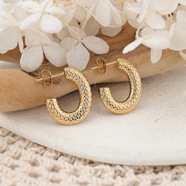 Anti tarnish fashionable hoop earrings