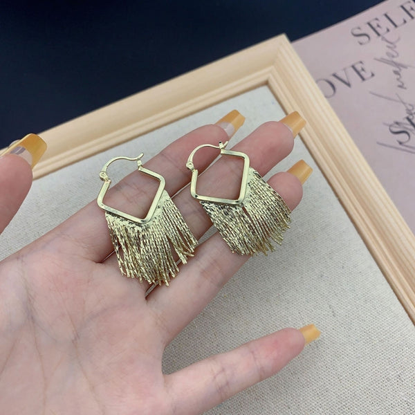 Fansy long chain earring