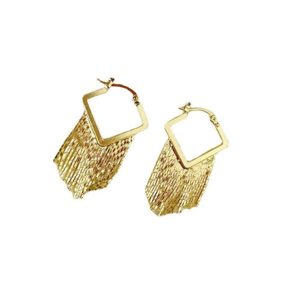 Fansy long chain earring