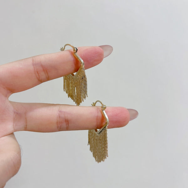Fansy long chain earring