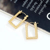 Anti tarnish Aesthetic Golden Hinged Earrings