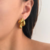 Beauty Nx drop earring