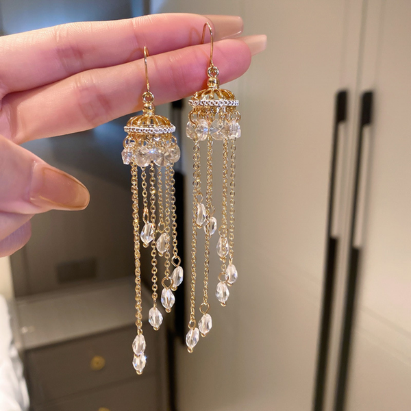 Hoop Long Earring