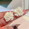 Combo Of 2 New Fancy Stud Earrings