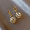 Wetern Pearl Hoop Earrings