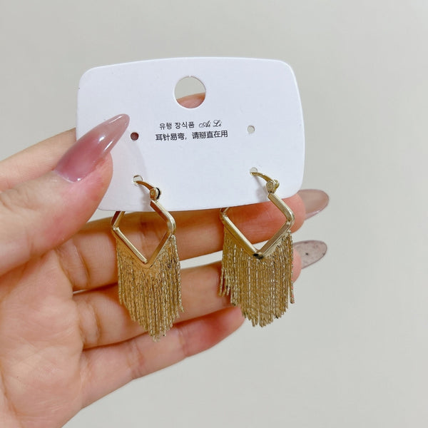 Fansy long chain earring