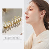Pack Of 2 Fancy Luxury Fashion Earring