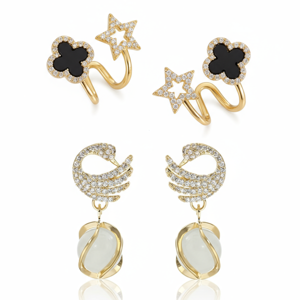 Pack Of 2 Stylish Fancy Earring